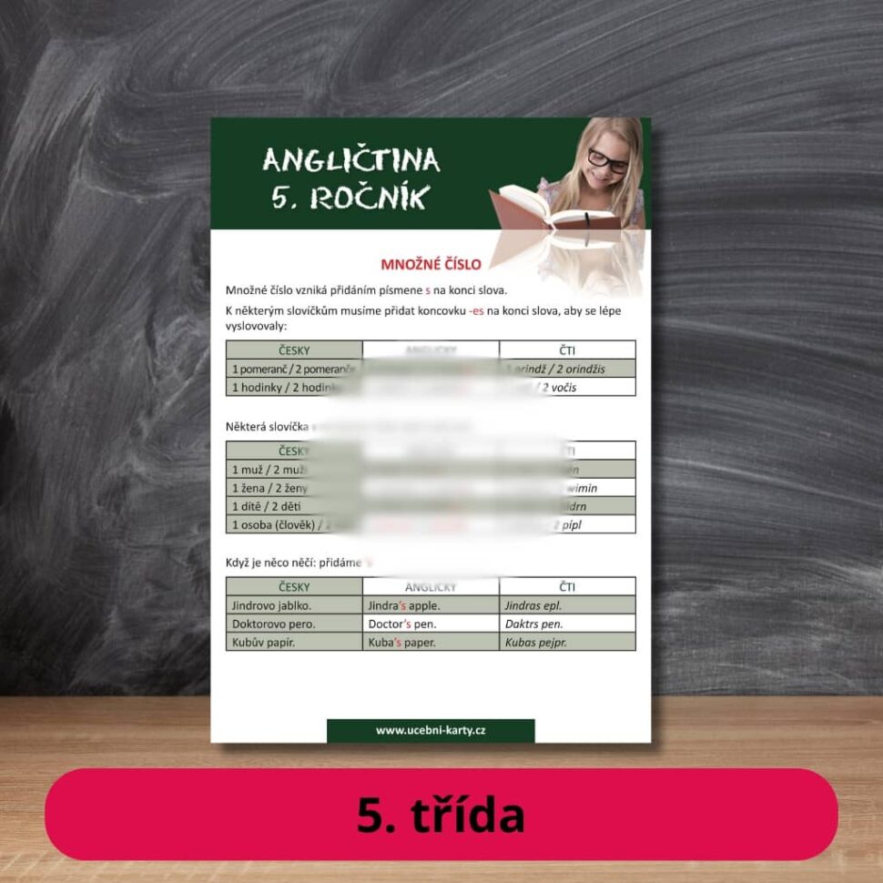 Karta s učivem angličtina množné číslo