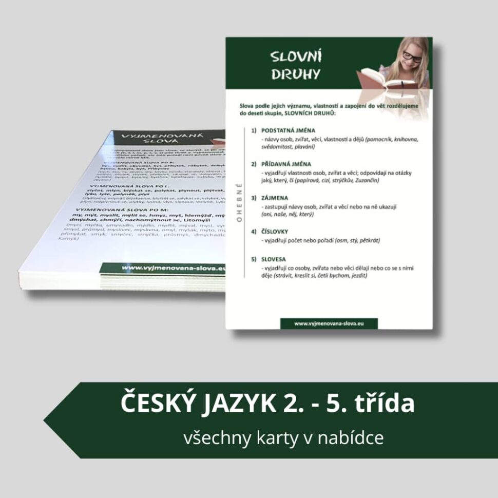 Karty s učivem Český jazyk
